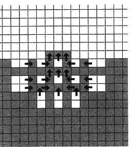Иллюстрация к книге — Загадочное ночное убийство собаки [i_035.jpg]