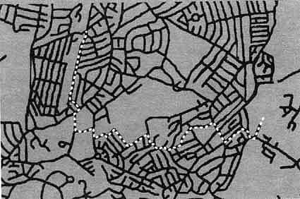 Иллюстрация к книге — Загадочное ночное убийство собаки [i_056.jpg]