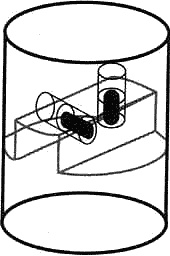 Иллюстрация к книге — Загадочное ночное убийство собаки [i_063.jpg]