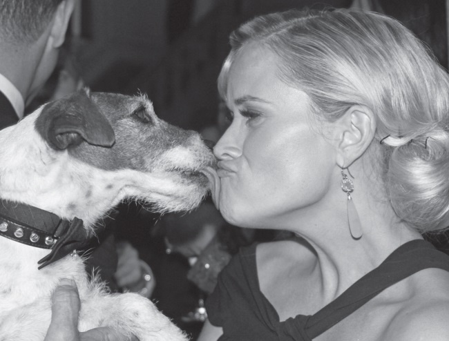 Иллюстрация к книге — Угги. Моя жизнь [Autogen_eBook_id101.jpg]