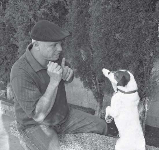 Иллюстрация к книге — Угги. Моя жизнь [Autogen_eBook_id13.jpg]