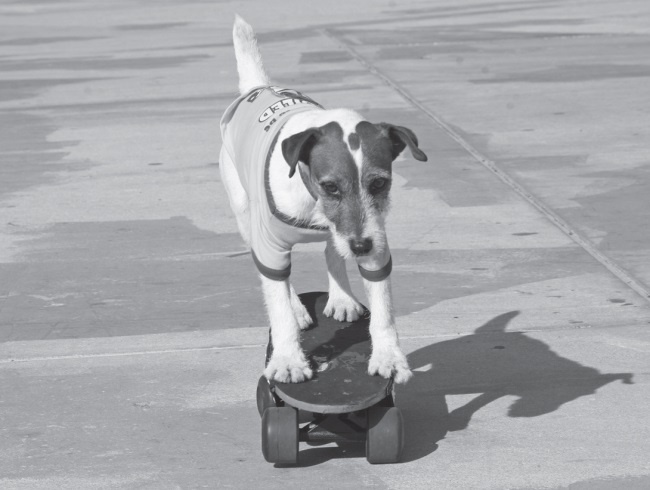 Иллюстрация к книге — Угги. Моя жизнь [Autogen_eBook_id17.jpg]