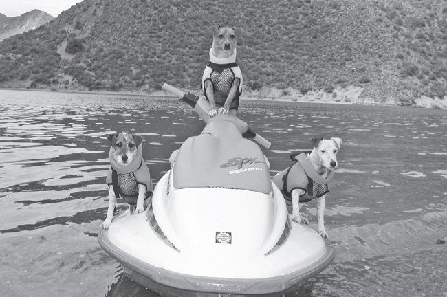 Иллюстрация к книге — Угги. Моя жизнь [Autogen_eBook_id23.jpg]