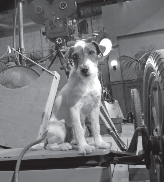 Иллюстрация к книге — Угги. Моя жизнь [Autogen_eBook_id63.jpg]