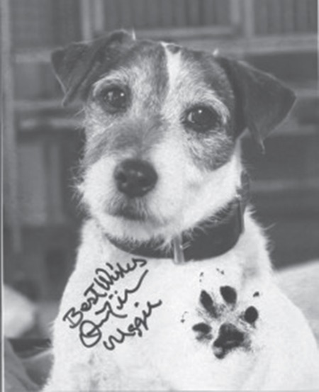 Иллюстрация к книге — Угги. Моя жизнь [Autogen_eBook_id85.jpg]