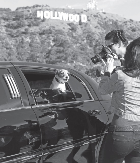 Иллюстрация к книге — Угги. Моя жизнь [Autogen_eBook_id88.jpg]