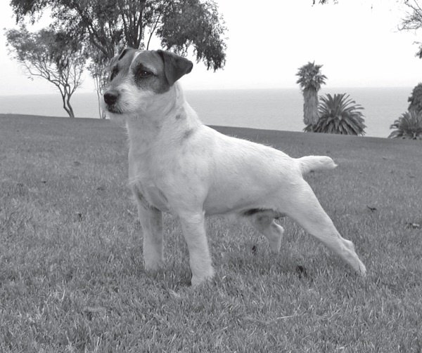 Иллюстрация к книге — Угги. Моя жизнь [Autogen_eBook_id9.jpg]