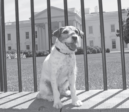 Иллюстрация к книге — Угги. Моя жизнь [Autogen_eBook_id96.jpg]