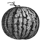 Иллюстрация к книге — Колобок и др. Кулинарные путешествия [i_025.jpg]