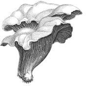 Иллюстрация к книге — Колобок и др. Кулинарные путешествия [i_026.jpg]