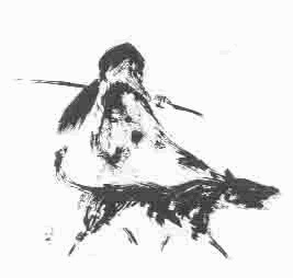 Иллюстрация к книге — Благоприятные приметы для охоты на какомицли [image13.jpg]