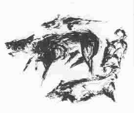 Иллюстрация к книге — Благоприятные приметы для охоты на какомицли [image2.jpg]