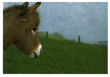 Иллюстрация к книге — Неро Корлеоне. Кошачья история [i_010.jpg]