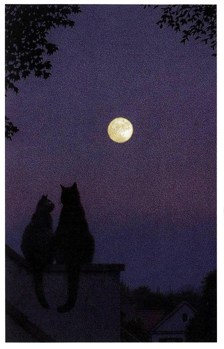 Иллюстрация к книге — Неро Корлеоне. Кошачья история [i_014.jpg]