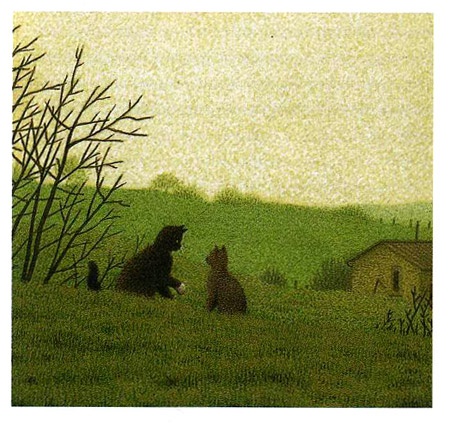 Иллюстрация к книге — Неро Корлеоне. Кошачья история [i_018.jpg]