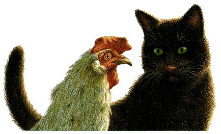 Иллюстрация к книге — Неро Корлеоне. Кошачья история [i_019.jpg]