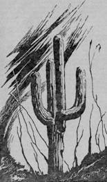 Иллюстрация к книге — Вслед за ветром [i_003.jpg]