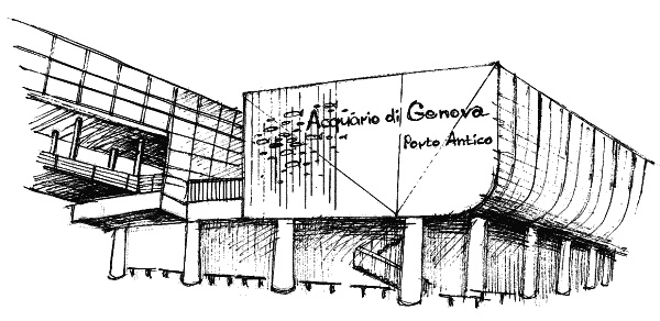 Иллюстрация к книге — У самого синего моря. Итальянский дневник [acquario.jpg]