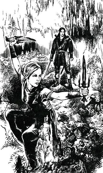 Иллюстрация к книге — Темные Сестры. Опасный выход [i_001.jpg]