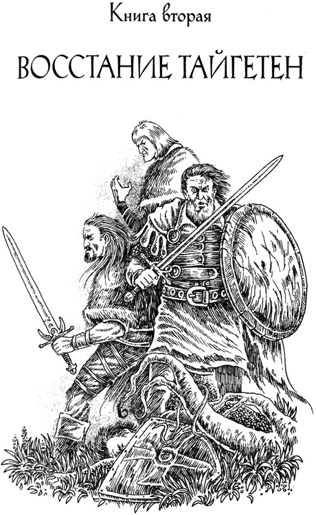 Иллюстрация к книге — Эльфы. Во власти тьмы [i_002.jpg]