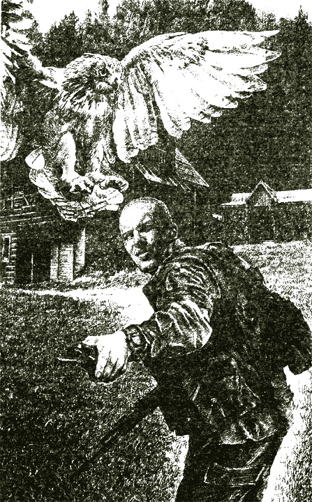 Иллюстрация к книге — Стратегия. Возвращение [i_002.jpg]