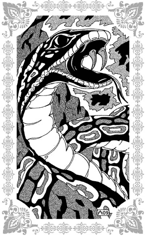 Иллюстрация к книге — Избранницы Рахмана [_147.jpg]