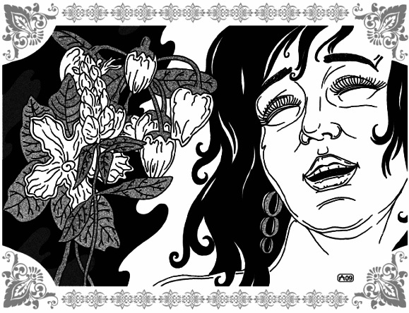 Иллюстрация к книге — Грезы Маруфа-башмачника [i_004.jpg]