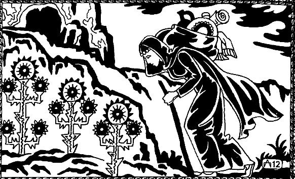 Иллюстрация к книге — Пещера невольницы-колдуньи. Шахразада [i_025.jpg]