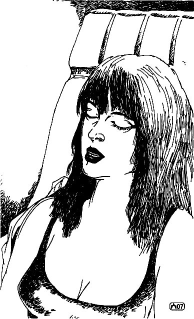 Иллюстрация к книге — Искушение [i_006.jpg]