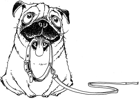 Иллюстрация к книге — Молли Мун и тайна превращения [i_003.jpg]