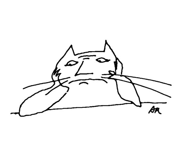 Иллюстрация к книге — Было, есть, будет… [i_062.jpg]