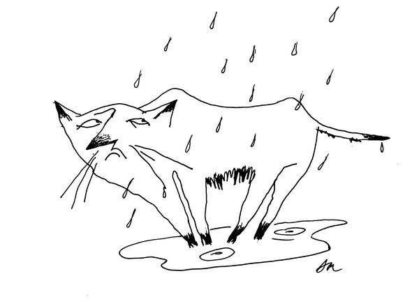 Иллюстрация к книге — Было, есть, будет… [i_063.jpg]