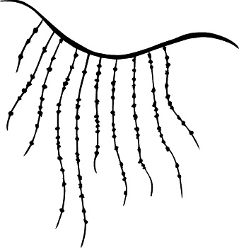 Иллюстрация к книге — Прыжок ягуара [_32.jpg]