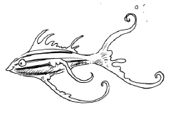 Иллюстрация к книге — Русалки с Рифа Морской Звезды [i_032.jpg]