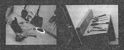 Иллюстрация к книге — Убийства в кукольном доме [pic_11.jpg]