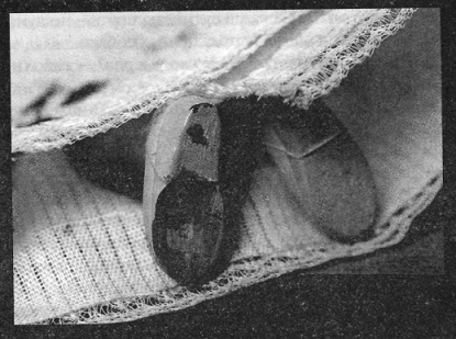 Иллюстрация к книге — Убийства в кукольном доме [pic_13.jpg]