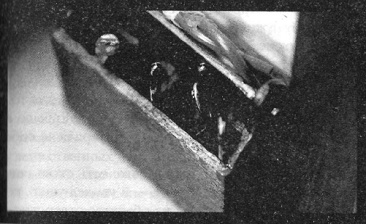 Иллюстрация к книге — Убийства в кукольном доме [pic_14.jpg]