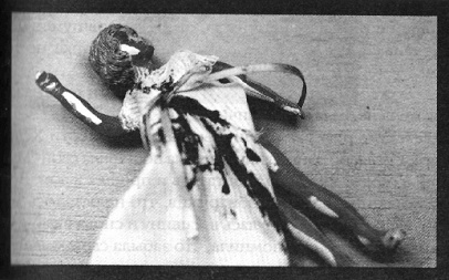 Иллюстрация к книге — Убийства в кукольном доме [pic_15.jpg]