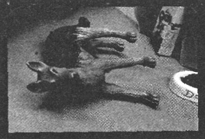 Иллюстрация к книге — Убийства в кукольном доме [pic_16.jpg]