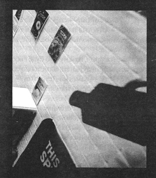 Иллюстрация к книге — Убийства в кукольном доме [pic_19.jpg]