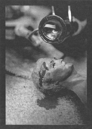 Иллюстрация к книге — Убийства в кукольном доме [pic_2.jpg]