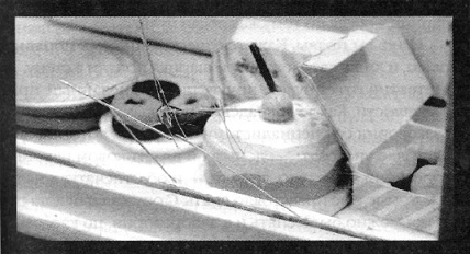 Иллюстрация к книге — Убийства в кукольном доме [pic_21.jpg]