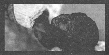 Иллюстрация к книге — Убийства в кукольном доме [pic_25.jpg]