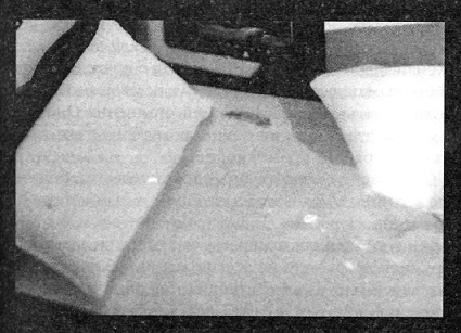 Иллюстрация к книге — Убийства в кукольном доме [pic_32.jpg]