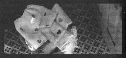 Иллюстрация к книге — Убийства в кукольном доме [pic_33.jpg]