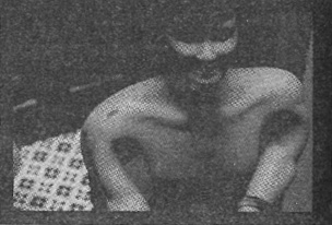 Иллюстрация к книге — Убийства в кукольном доме [pic_34.jpg]