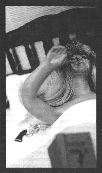 Иллюстрация к книге — Убийства в кукольном доме [pic_35.jpg]