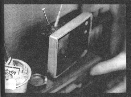 Иллюстрация к книге — Убийства в кукольном доме [pic_36.jpg]