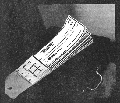 Иллюстрация к книге — Убийства в кукольном доме [pic_39.jpg]