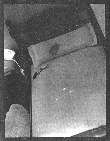 Иллюстрация к книге — Убийства в кукольном доме [pic_40.jpg]